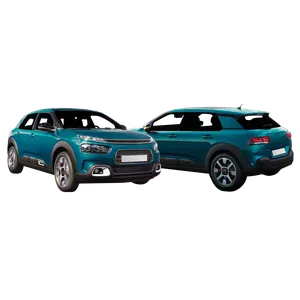 C4 CACTUS 2018-