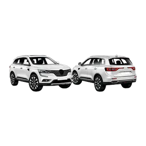 KOLEOS 2017-