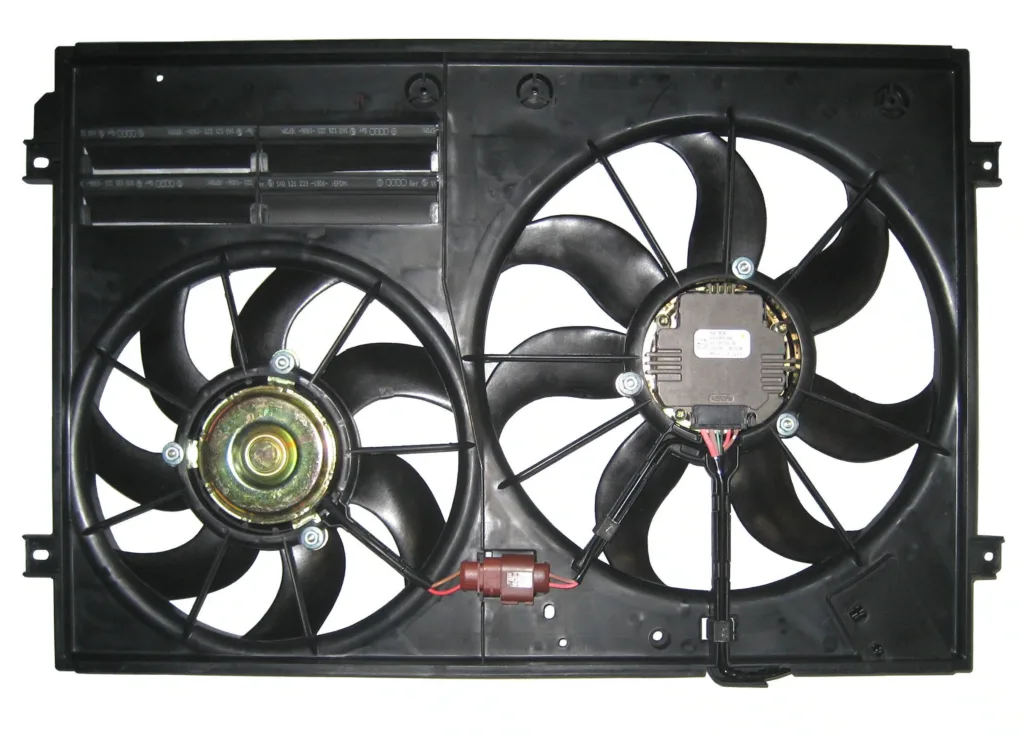 AGL-000695