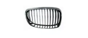 Rejilla Derecha (Cromado/Cromado/Negra) para Bmw S/1 E81/E87 2007