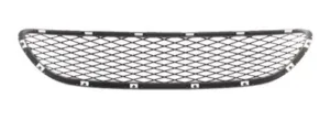 Rejilla Central Paragolpes Delantero para Bmw S/3 E90 2008