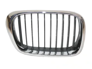Rejilla Izquierda para Bmw S/5 E39 2000