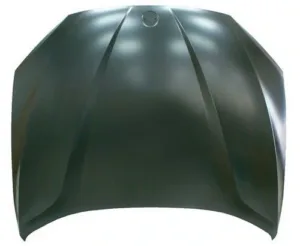 Capó (Chapa) para Bmw X1 E84 2009 y X1 E84 2012