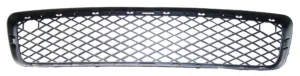 Rejilla Inferior Paragolpes Delantero Imprimado (Exterior) para Bmw X5 E70 2007