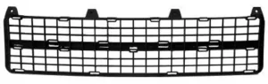 Rejilla Paragolpes Delantero (Interior) para Citroen BERLINGO 2002 y Peugeot PARTNER 2002
