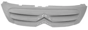 Rejilla para Citroen C3 2005