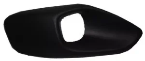 Rejilla Faro Antiniebla Derecha Paragopes Delantero para Citroen C4 PICASSO 2013