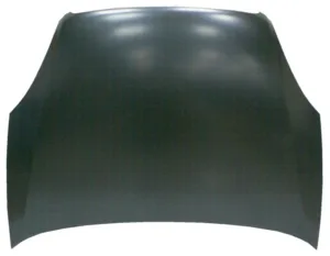 Capó para Fiat LINEA 2006