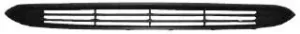 Rejilla Superior Paragolpes (Negra) para Fiat PUNTO EVO 2009