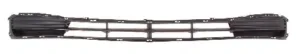 Rejilla Paragolpes Delantero (Sin Agujeros) para Hyundai ACCENT 2006