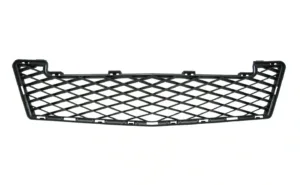 Rejilla Paragolpes Delantero (Avantgarde) para Mercedes-Benz A W169 2008