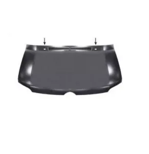 Capó (Con Agujero) para Mercedes-Benz SPRINTER 2000