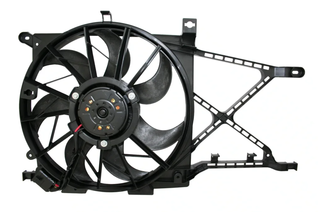AGL-019568