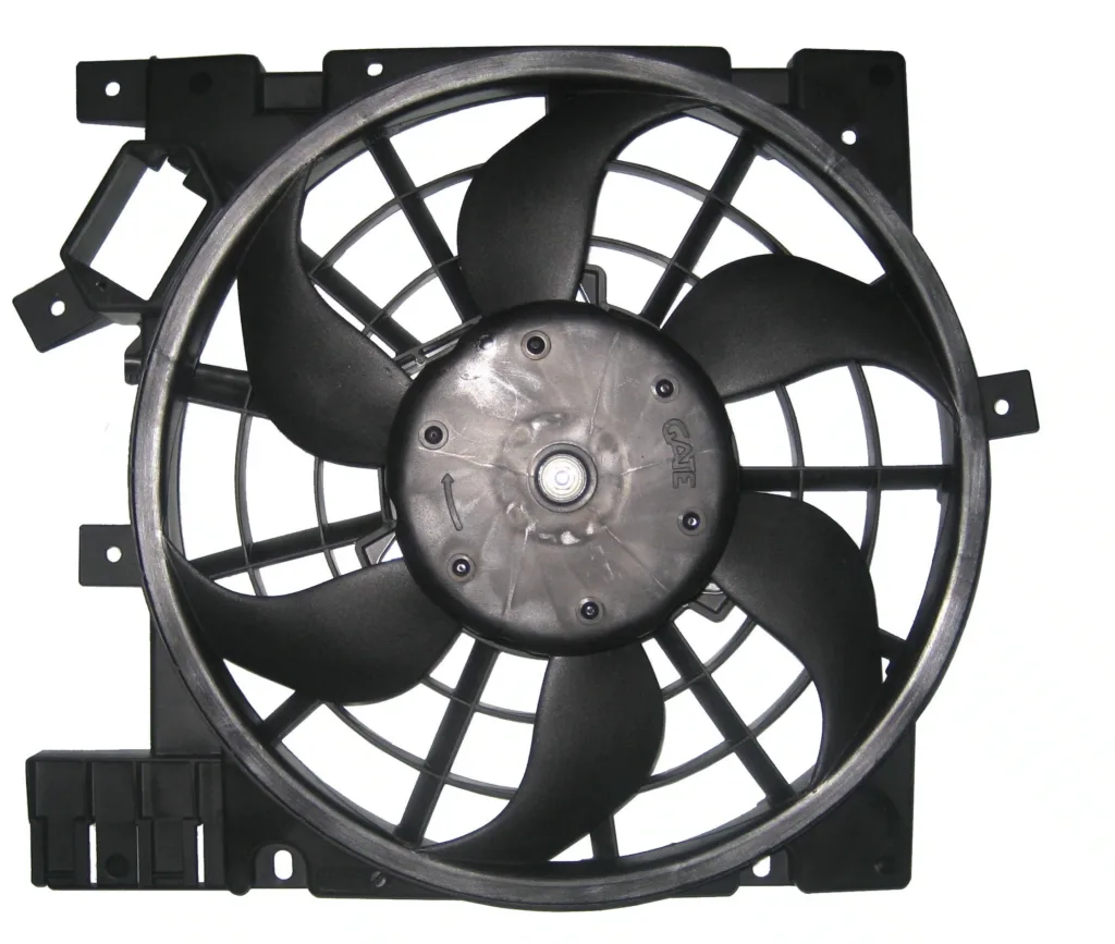 AGL-019570