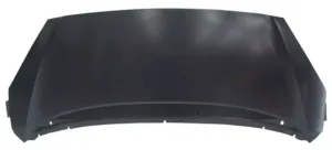 Capó para Peugeot 1007 2004