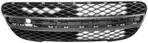 Rejilla Paragolpes Delantero para Peugeot 107 2009