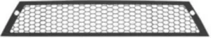 Rejilla Central Paragolpes Delantero para Seat IBIZA III 2006