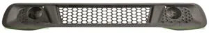 Rejilla Inferior Paragolpes Delantero (Sin Agujeros) (2012-2014) para Smart FORTWO 2007
