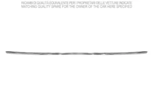 Moldura Cromadacentral Paragolpes Delantero (Modelo Highline) para Volkswagen PASSAT B8 2014